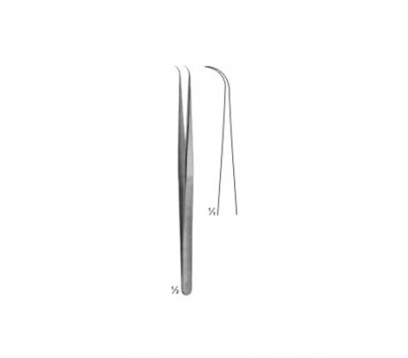 Forceps